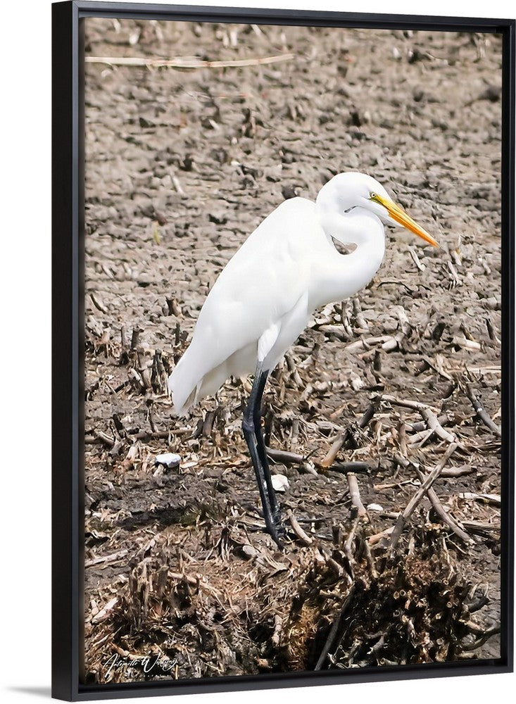 Runway Egret 1