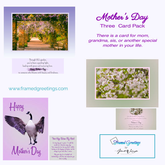 Mother's Day Card Variety  (3pk) 2024