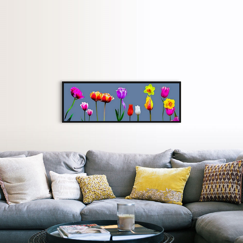 Tulip Garden 16x48