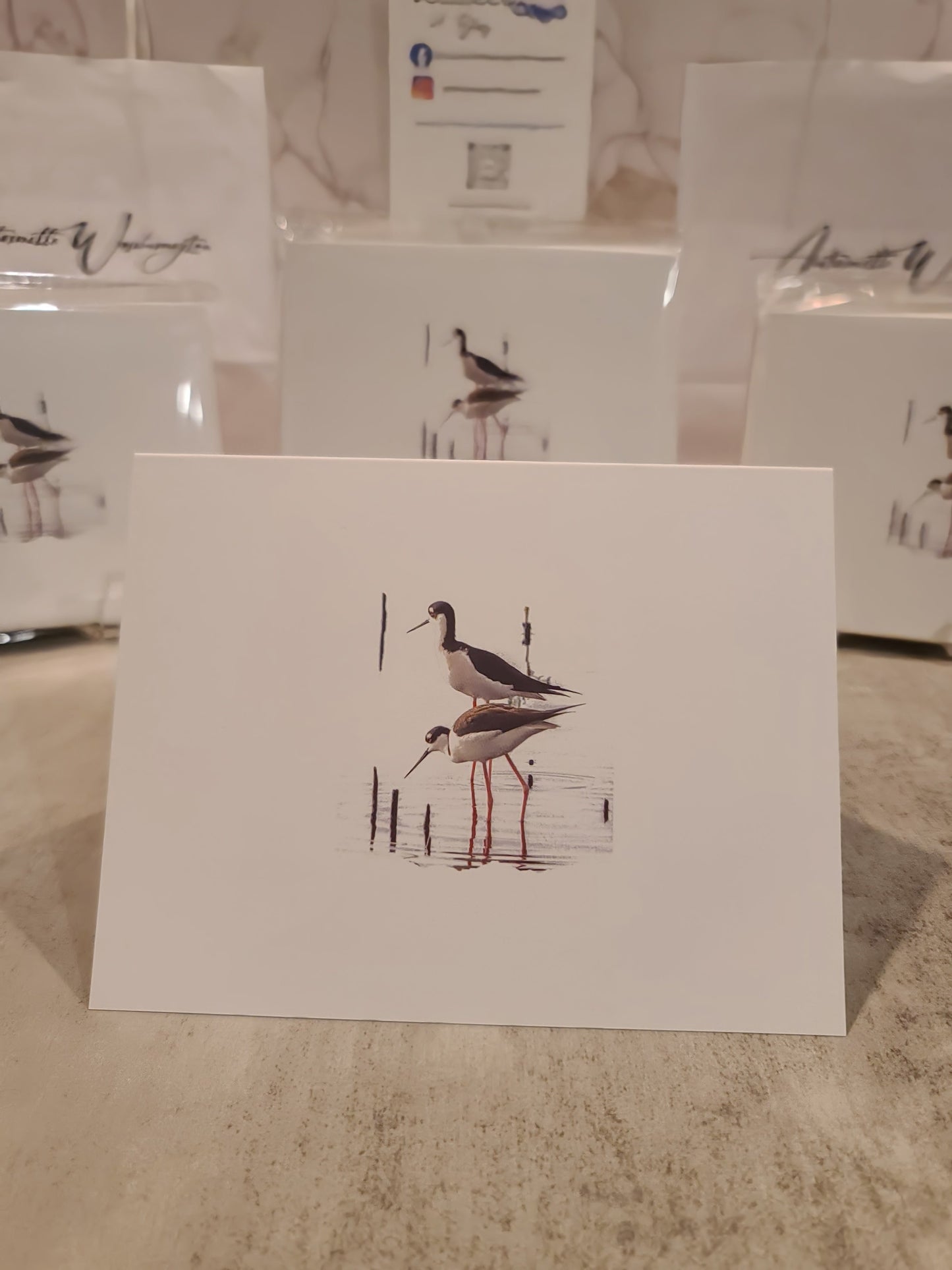 Note Cards with Black-Necked Stilt Bird (10pk)