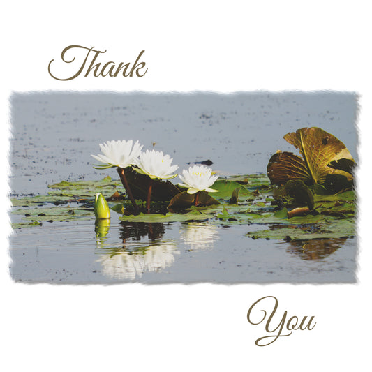 Thank You Cards with Water Lilies (10pk)