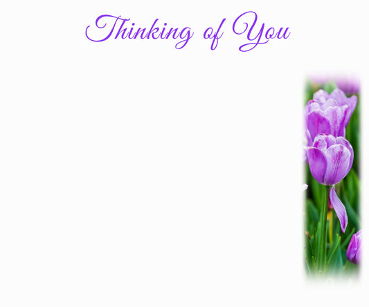 Thinking of You Card with Purple Tulips (10pk)